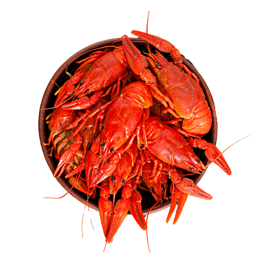 Traditional New Orleans Boiled Crawfish