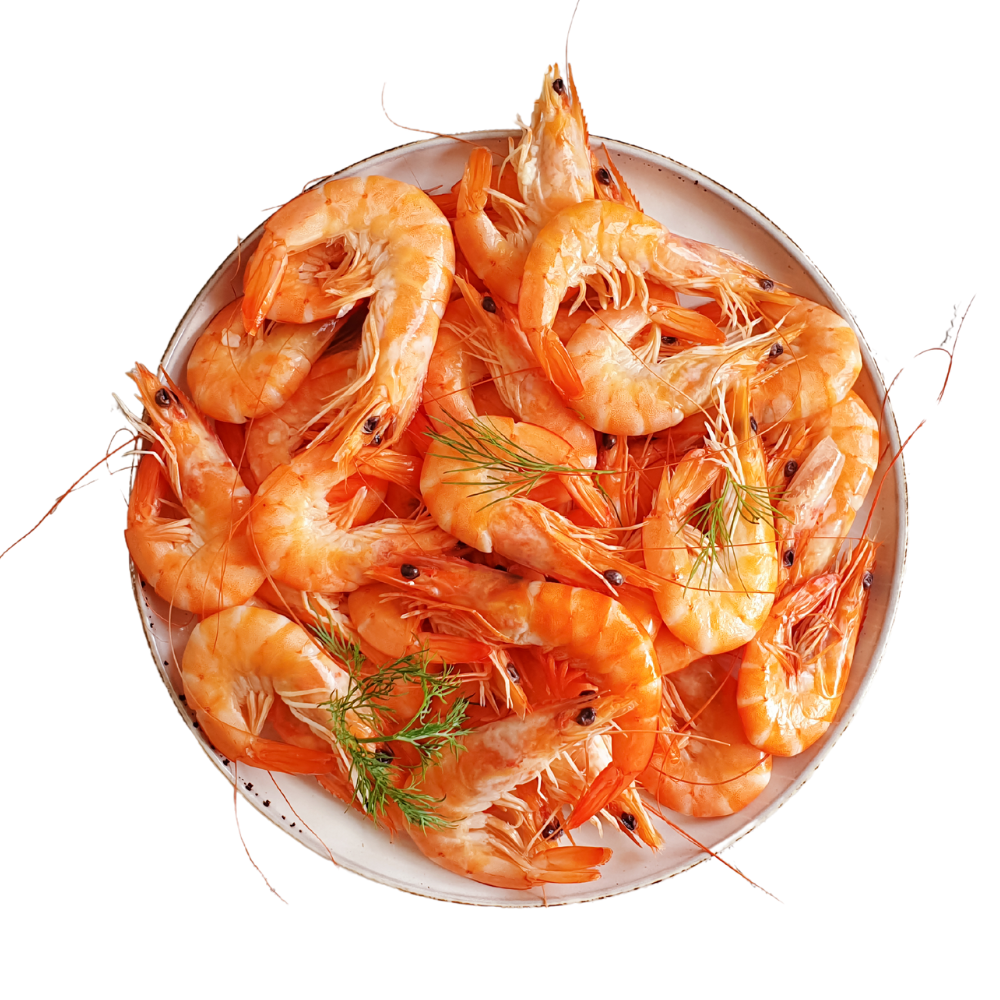South Coast Seafood TN Boiled Wild Caught Gulf Shrimp